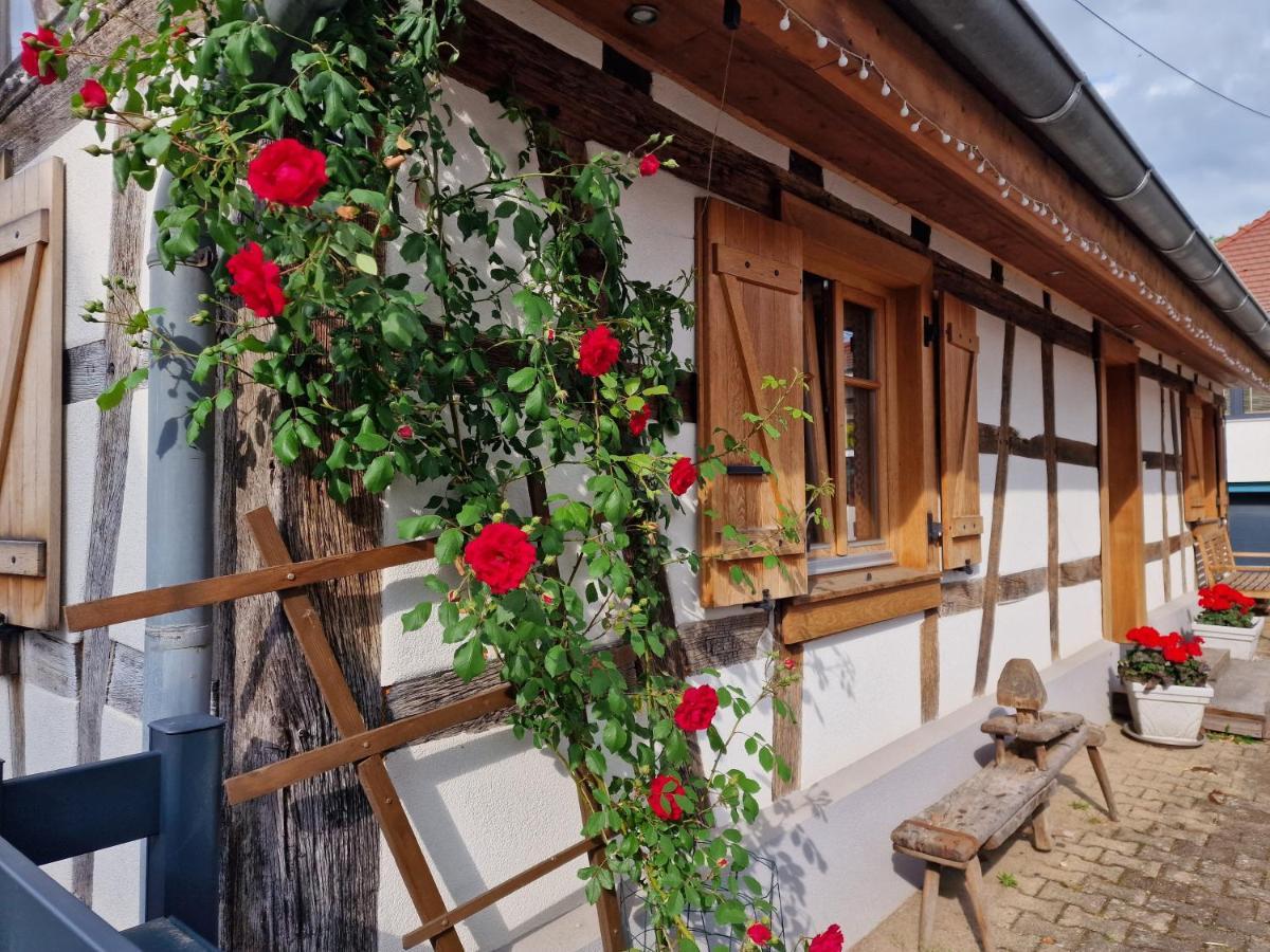 Une Maison A Colombages - Cosy, Lumineuse Et Sauna Kesseldorf Zewnętrze zdjęcie